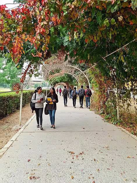 Life and environment in University of Baghdad